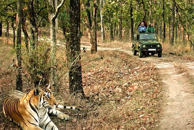 03 Days Private Wildlife Ranthambore Tiger Tour from Jaipur - What you get for $495: value math that makes sense