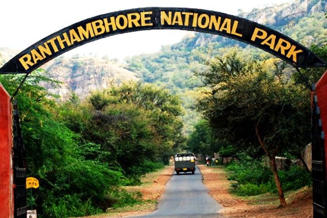 2-Days Private Ranthambhore Tiger Tour from Jaipur - Should You Book This 2-Day Tiger Tour From Jaipur?