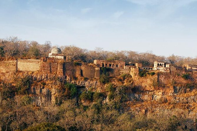 2 Days Ranthambore Tiger Safari with Tickets - Day 1 at Ranthambore Fort, More Than a Quick Photo Stop