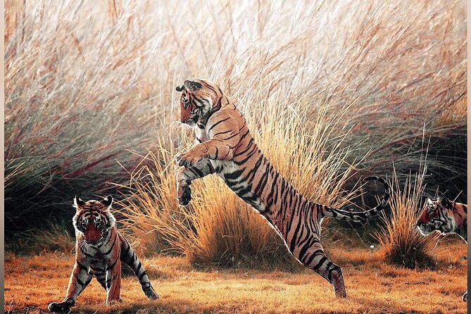4 Days Guided Jaipur, Ranthambore Tigers & Udaipur Tour With Safari & Hotels - Day 4 Udaipur: City Palace, Jagdish Temple, and Saheliyon ki Bari