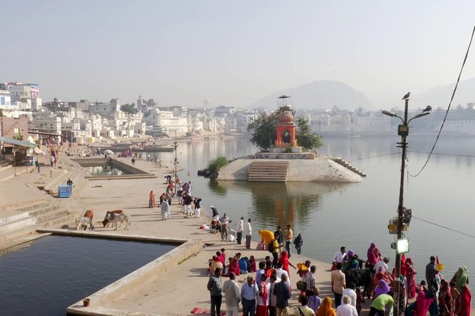 5 Days Private Heritage Triangle Tour Jaipur, Jodhpur, Udaipur. - Day 2: Pushkar camel safari, then Jodhpur’s blue-city arrival