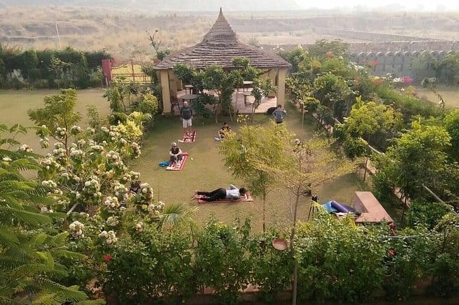 Aravali Exotic Hiking, Yoga with Breakfast - Price value at $76.98: what you’re paying for, and what you aren’t