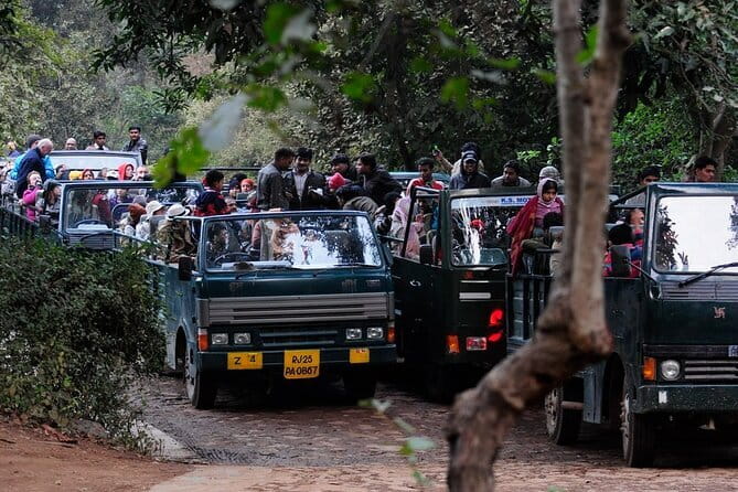 Day Trip from Jaipur to Ranthambore Safari - The safari clock: 3 hours in the park (Gypsy or canter)