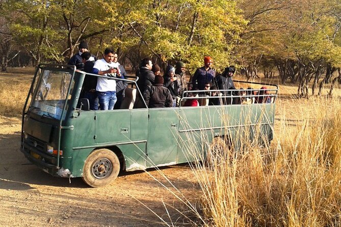 Day Trip to Ranthambore Tiger Reserve from Jaipur - The UNESCO-Listed Ranthambore Fort Stop, Why It’s More Than a Bonus