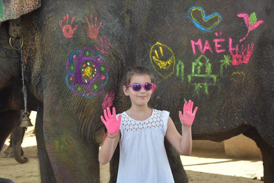 Elefun Best Elephant Sanctuary in Jaipur - The Walk-By Experience, Not an Elephant Ride