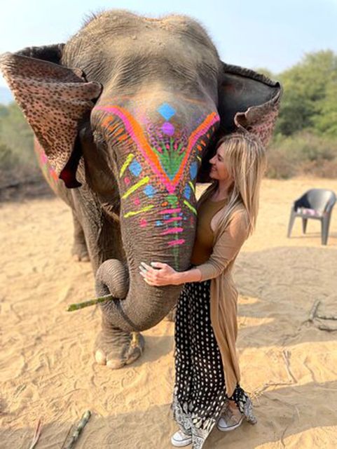 Elephant Sanctuary for Best elephant experience in Jaipur - Your Elephant Encounter: Feeding, Pampering, and Walking (Without Riding)