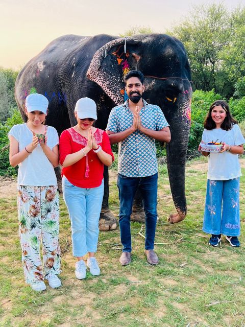 Elephant Sanctuary for Best elephant experience in Jaipur - Tea, Coffee, and Break Time You Will Actually Appreciate