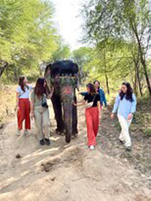 Elephant Sanctuary for Best elephant experience in Jaipur - Getting to Elefanjoy: Jaipur Pickup and Heat-Friendly Timing