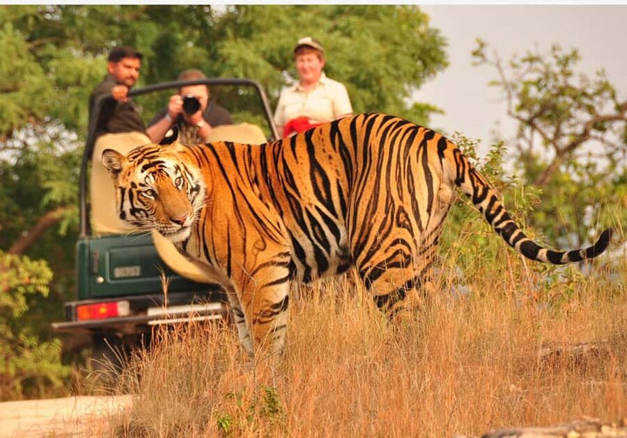 From Delhi: 6-Day Golden Triangle Tour with Ranthambore - Day 2 Agra at sunrise, Taj Mahal and Agra Fort
