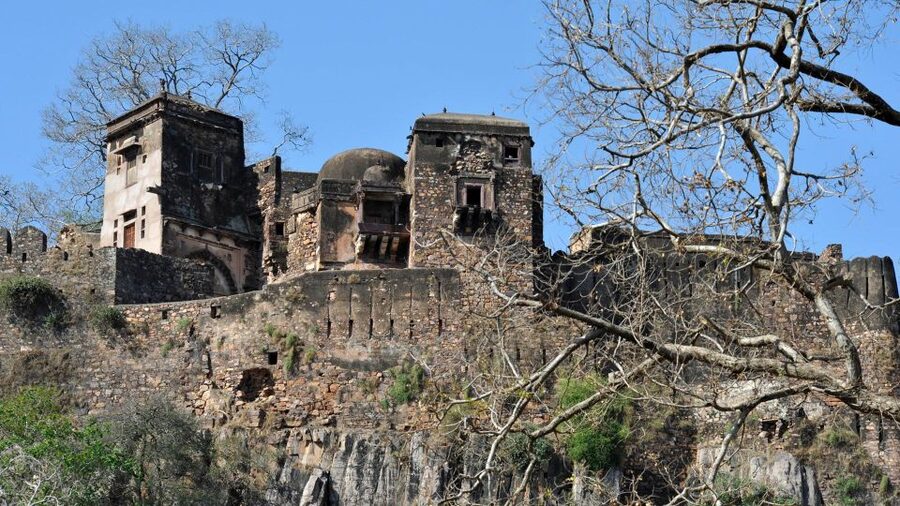 From Delhi: 6-Day Golden Triangle Tour with Ranthambore - Price and value for a 6-day private tour with safaris