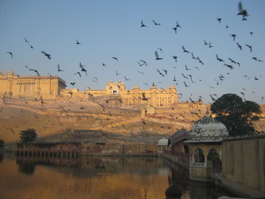 From Delhi: Private Jaipur & Amber Fort Guided Tour by Car - Guide and Driver Quality: Why Names Like Abbas, Kapil, and Rahul Matter