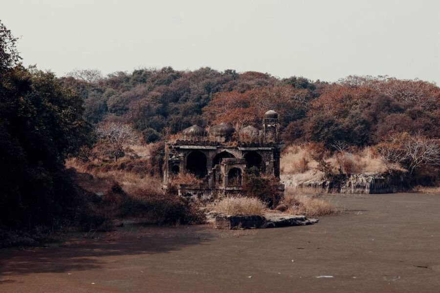 From Jaipur : 2 Days Ranthambore Tiger Safari Tour By Car - The Big Idea: Wildlife Time Plus a Fort, Done in 2 Days