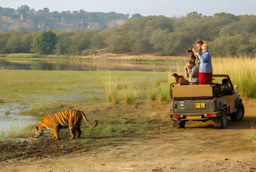 From Jaipur : 2 Days Ranthambore Tiger Safari Tour By Car - Safari Vehicle Reality: Canter by Default, Gypsy as an Add-On