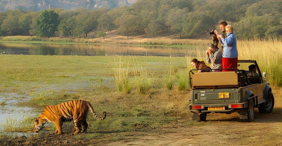 From Jaipur : 2 Days Ranthambore Tiger Safari Tour By Car - Day 1 Drive From Jaipur to Ranthambore, Then Afternoon Safari