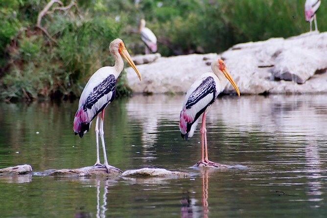 From Jaipur: Bird Safari and Agra sightseeing All-Inclusive - Key points at a glance