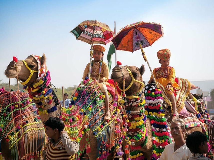 From Jaipur: One-Day Trip From Jaipur to Pushkar - Temple Time at Pushkar: Brahma, Rangnath Venugopal, and Savitri
