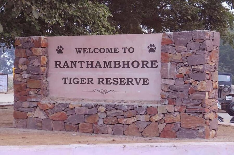 From Jaipur: Praivte Ranthambore Tour By Jeep Canter Safari - Jeep vs Canter Safari: How to Choose for Better Tiger Chances
