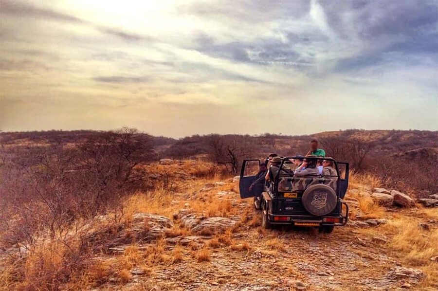 From Jaipur: Praivte Ranthambore Tour By Jeep Canter Safari - Inside Ranthambore National Park: The Guide Advantage