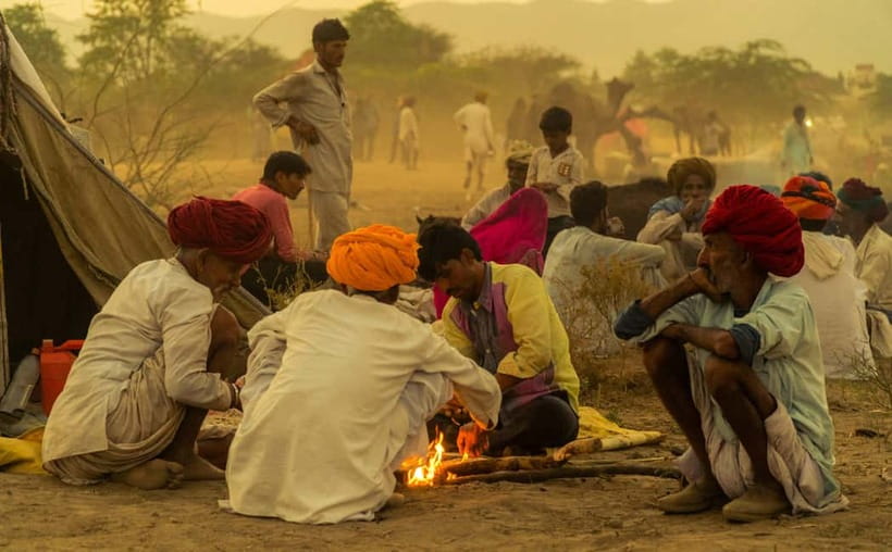 From Jaipur : Private Ajmer Pushkar Tour by Cab - Optional Safari Side Trips, and What You Should Decide Before You Go