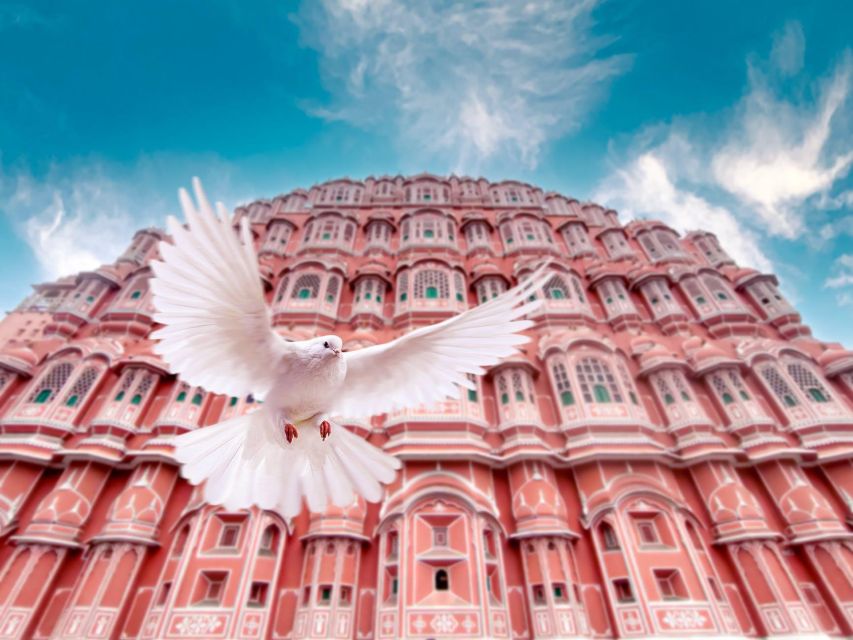 From Jaipur: Private Amber Fort, Jal Mahal and More Car Tour - Key Highlights Worth Your Attention