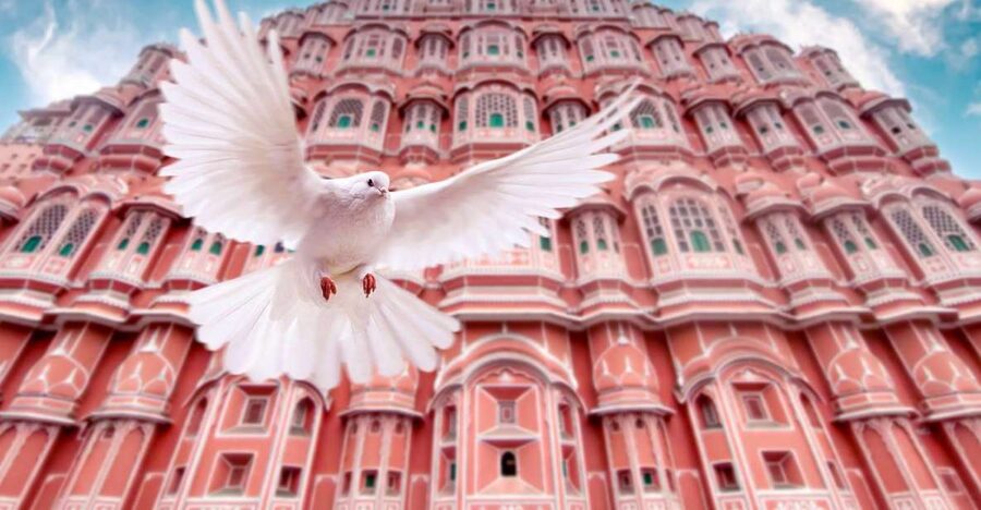 From Jaipur: Private Amber Fort, Jal Mahal and More Car Tour - City Palace and Chandra Mahal: Royal Power Meets Museum Time