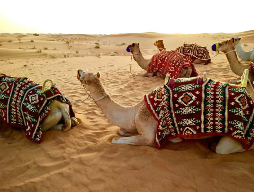 From Jaipur: Pushkar and Ajmer Private Day Trip - Road Time From Jaipur to Pushkar: What the day starts with