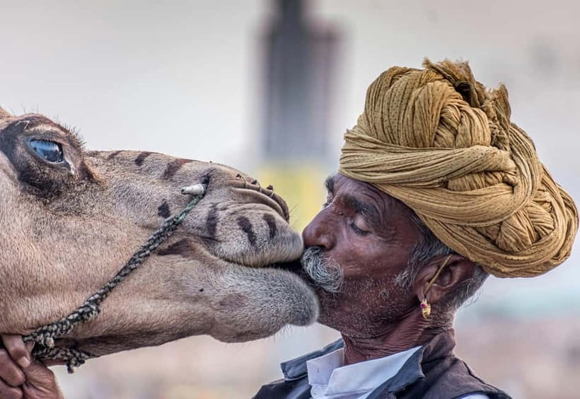 From Jaipur: Pushkar and Ajmer Private Day Trip - Desert safari options in Pushkar: Camel, jeep, or horse, and the cost question