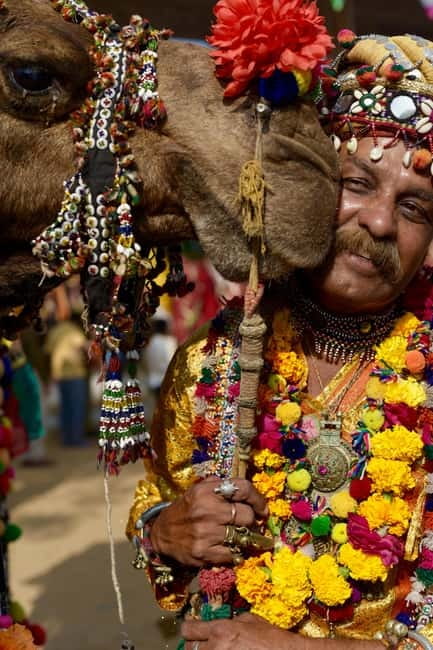From Jaipur: Pushkar and Ajmer Private Day Trip - Who should book this trip, and who should skip it