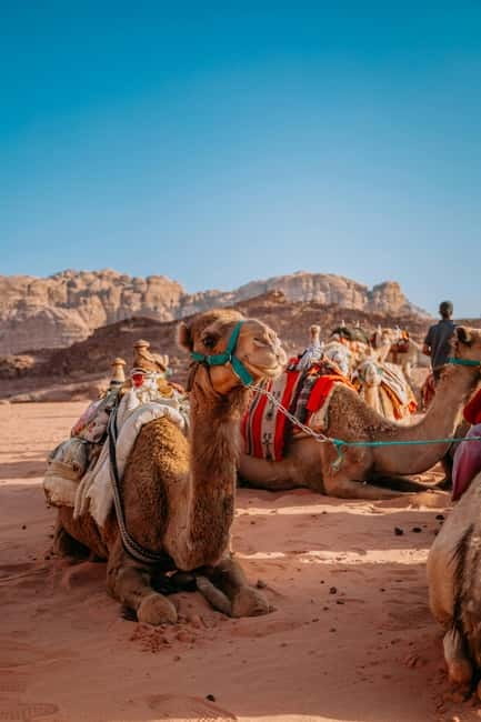 From Jaipur: Pushkar and Ajmer Private Day Trip - Pushkar and Ana Sagar Lake: Walking, temples, and that lakeside mood