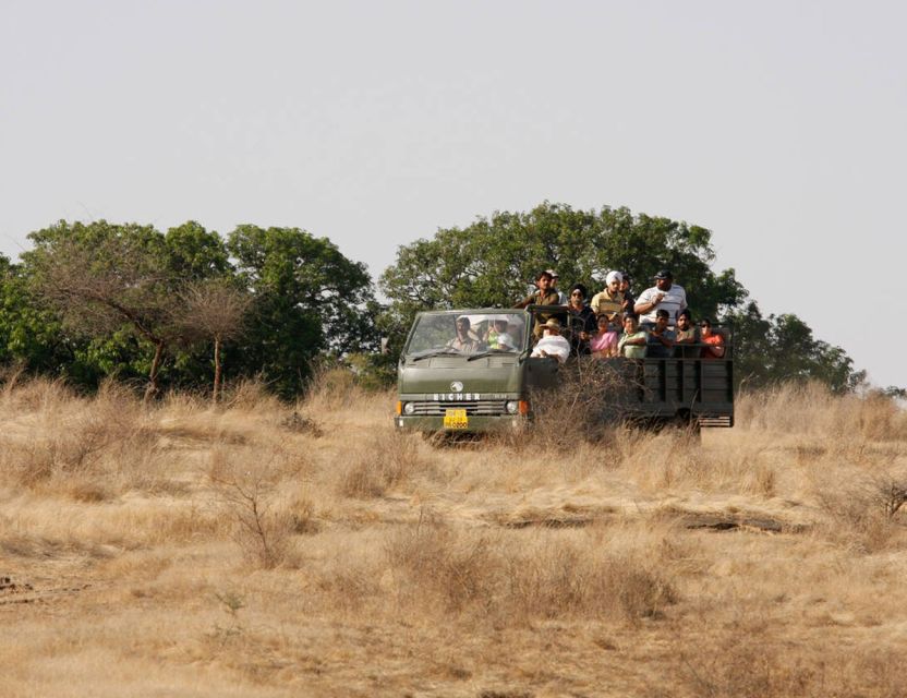 From Jaipur: Ranthambore Tour with Cab - Ranthambore in one long day: how the 14-hour rhythm works
