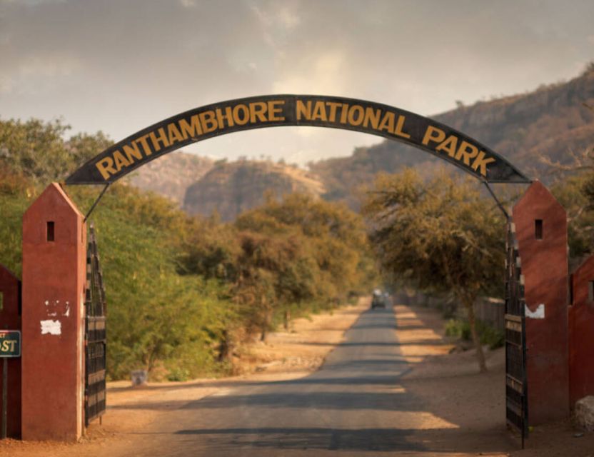 From Jaipur: Ranthambore Tour with Cab - Afternoon safari timing around 2 PM: when wildlife is most likely to show