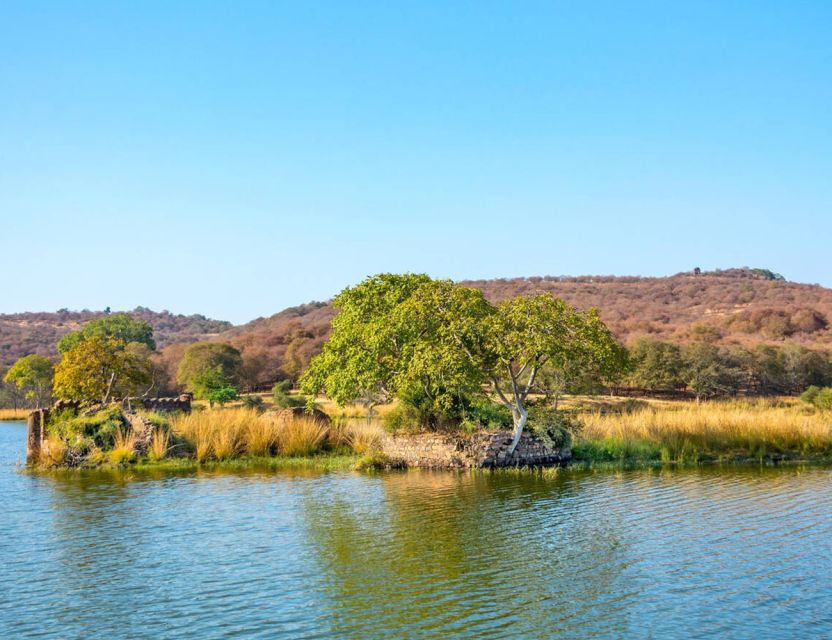 From Jaipur: Ranthambore Tour with Cab - Jeep vs canter: what changes and how to stay comfortable