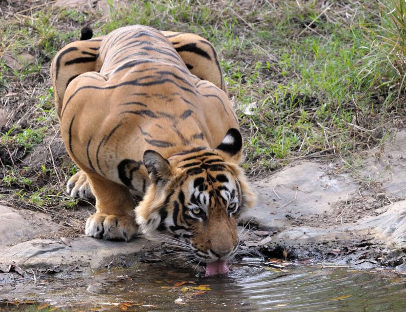 From Jaipur: Ranthambore Tour with Cab - Jaipur pickup and the AC ride toward Sawai Madhopur