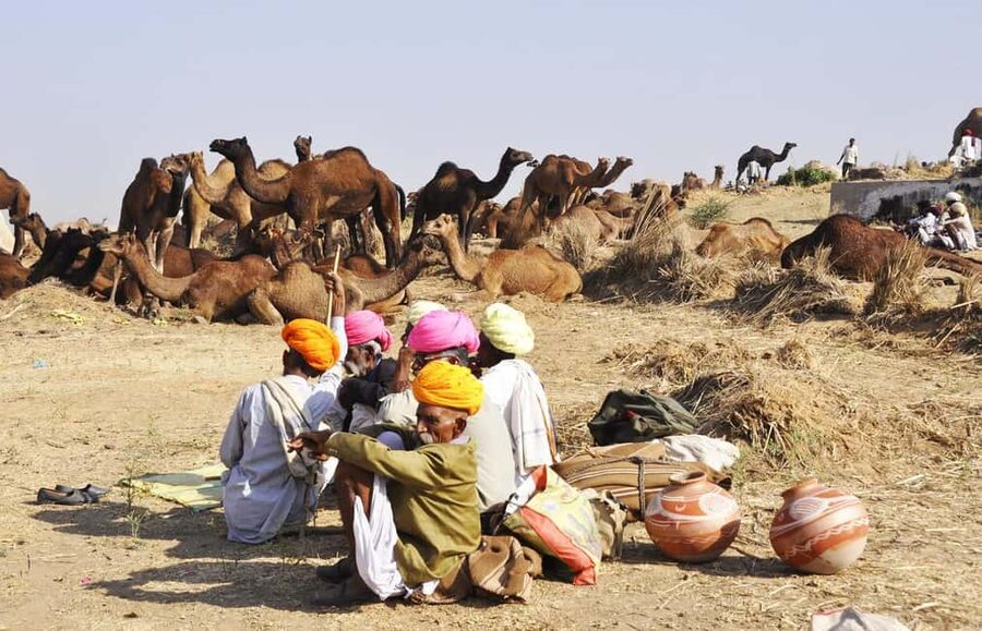 From Jaipur: Same Day Pushkar Self-Guided Day Trip - Camel Ride and Thar Desert Edges: Pushkar Beyond Temples