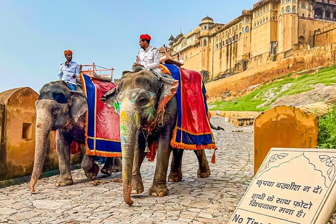 Full-Day Jaipur Highlights with Local Guide & Private Vehicle - Hawa Mahal: the 953-window quick stop that pays off