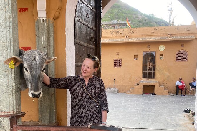 Full-Day Jaipur Sightseeing Private Tour - All Inclusive - Panna Meena ka Kund and Amer: stepping down, then stepping up