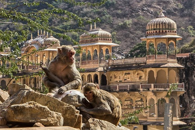 Full-Day Private City Tour of Jaipur - Pickup, AC comfort, and a guide who keeps the day moving