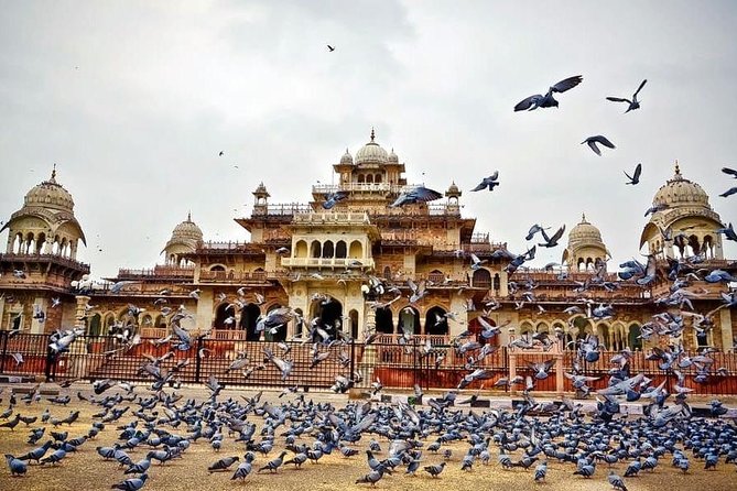Full-Day Private Tour Heritage of Jaipur with Amber Fort - Getting There Comfortably, and Why Timing Matters in Jaipur