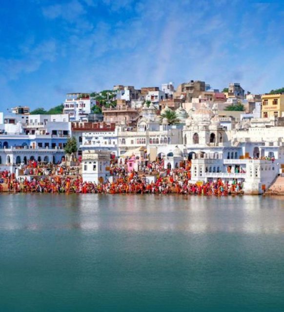 Fullday pushkar tour from jaipur with guid+camel/jeep safari - Key Things That Make This Pushkar Tour Worth Your Time