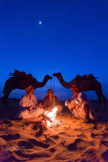 Fullday pushkar tour from jaipur with guid+camel/jeep safari - Price for $49: Value Depends on What You Actually Get