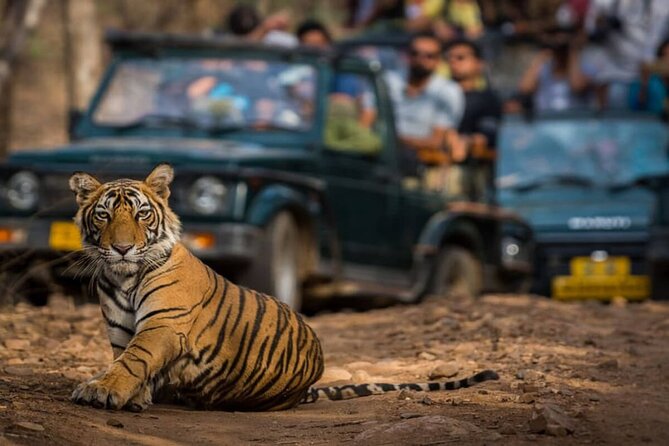 Golden Triangle & Ranthambore: 4-Day Private Tour from Delhi - Key takeaways before you go
