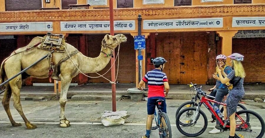 Jaipur: 3-Hour Morning Bike Tour of Jaipur Old City - Chaiwala stops and breakfast tastings that actually feel local