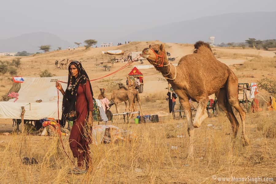 Jaipur: Ajmer & Pushkar Day Trip with Lunch & Camel ride - Getting there and keeping your day on track