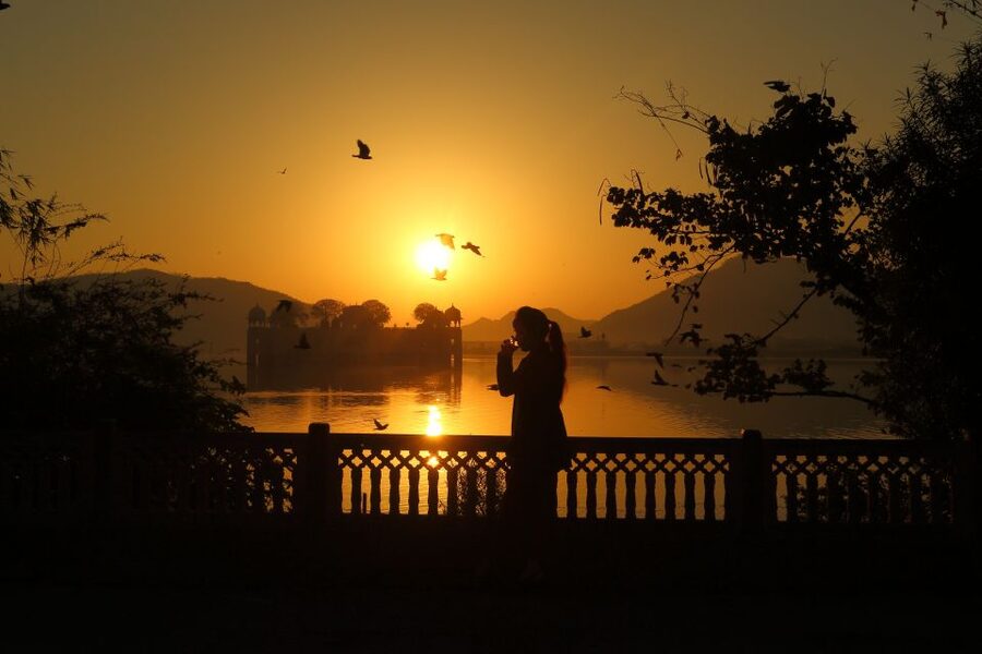 Jaipur Amer Fort, Jal Mahal & Stepwell Private Half-Day Tour - Lake Man Sagar and Jal Mahal: The Water Palace Look