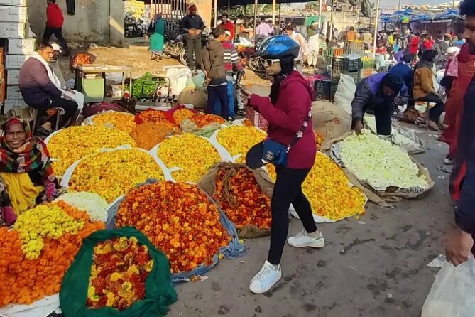 Jaipur Cultural Cycling Tour - The Real Appeal: Pink City Morning Energy on Two Wheels