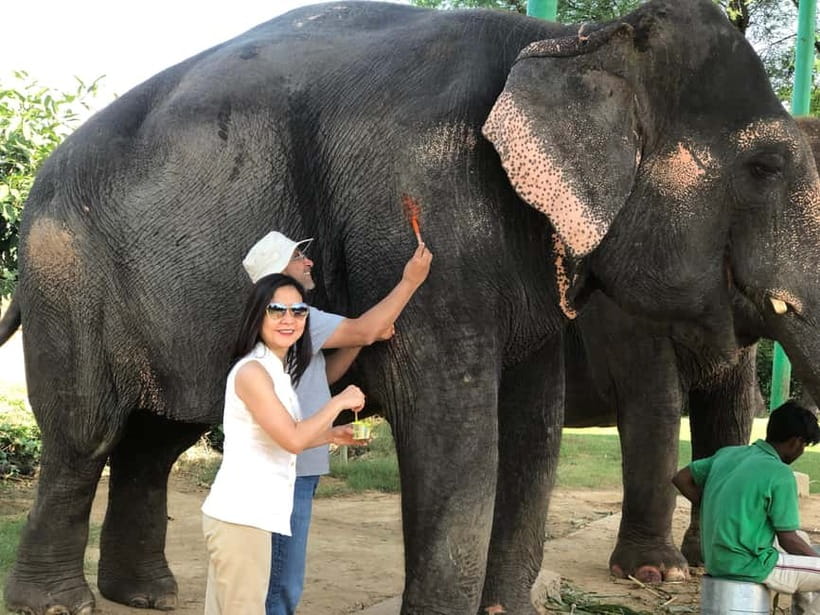 Jaipur: Elephant Interaction Tour - Value Check: Is $58 Worth It for 4 Hours?