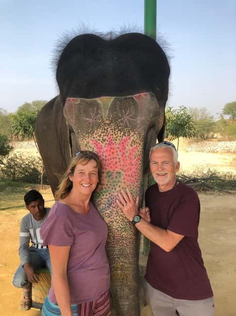 Jaipur: Elephant Interaction Tour - Why This Feels Different Than the Typical Elephant Stop