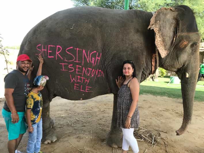 Jaipur: Elephant Interaction Tour - Meeting and Introduction: Learning the Elephant Mood Fast