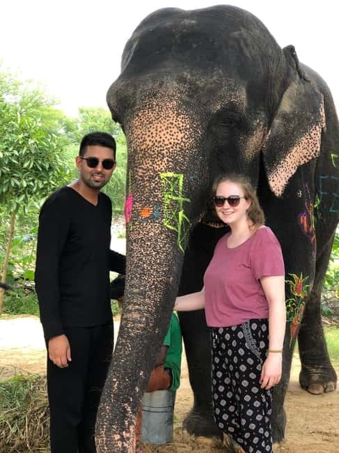 Jaipur: Elephant Interaction Tour - Feeding the Elephant: The Lesson Is in the Pattern