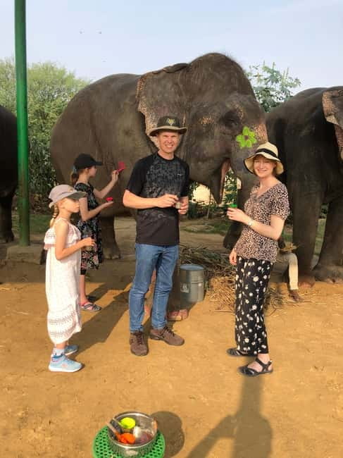 Jaipur: Elephant Interaction Tour - Mud Bath With Elephants: Fun for You, Skin Support for Them